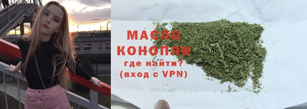 молекула духа Горнозаводск