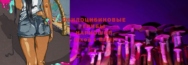 молекула духа Горнозаводск