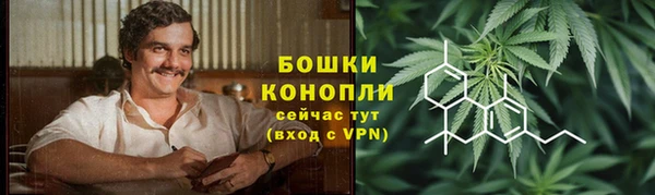 ГАЛЛЮЦИНОГЕННЫЕ ГРИБЫ Гусь-Хрустальный