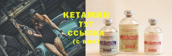 бошки Дмитров