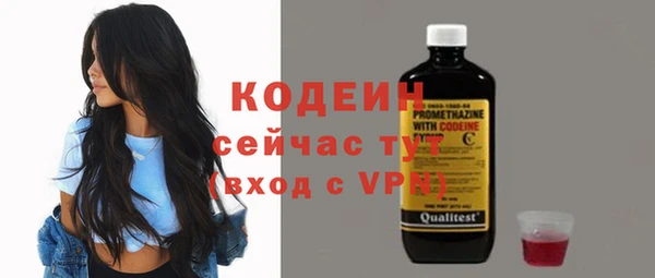 спиды Гусев