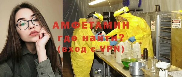 ГАЛЛЮЦИНОГЕННЫЕ ГРИБЫ Гусь-Хрустальный
