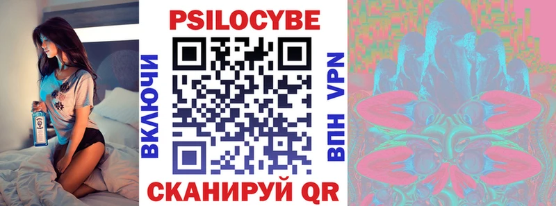 как найти закладки  Гаджиево  Галлюциногенные грибы Magic Shrooms 